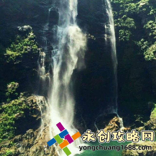 新洲区香草伊甸园景区：探索自然与浪漫的完美结合