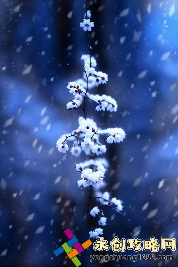 罗峰顾雪念小说免费大全：哪里可以找到完整章节？