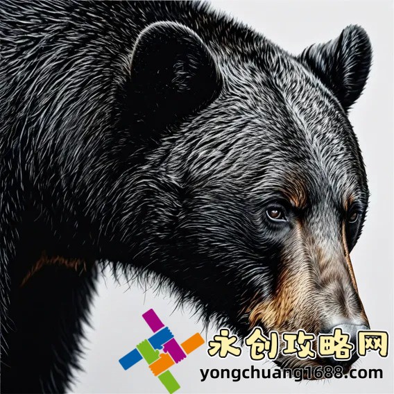 正义的使命 旖旎小哥：深入了解这位演员在角色中的表现！