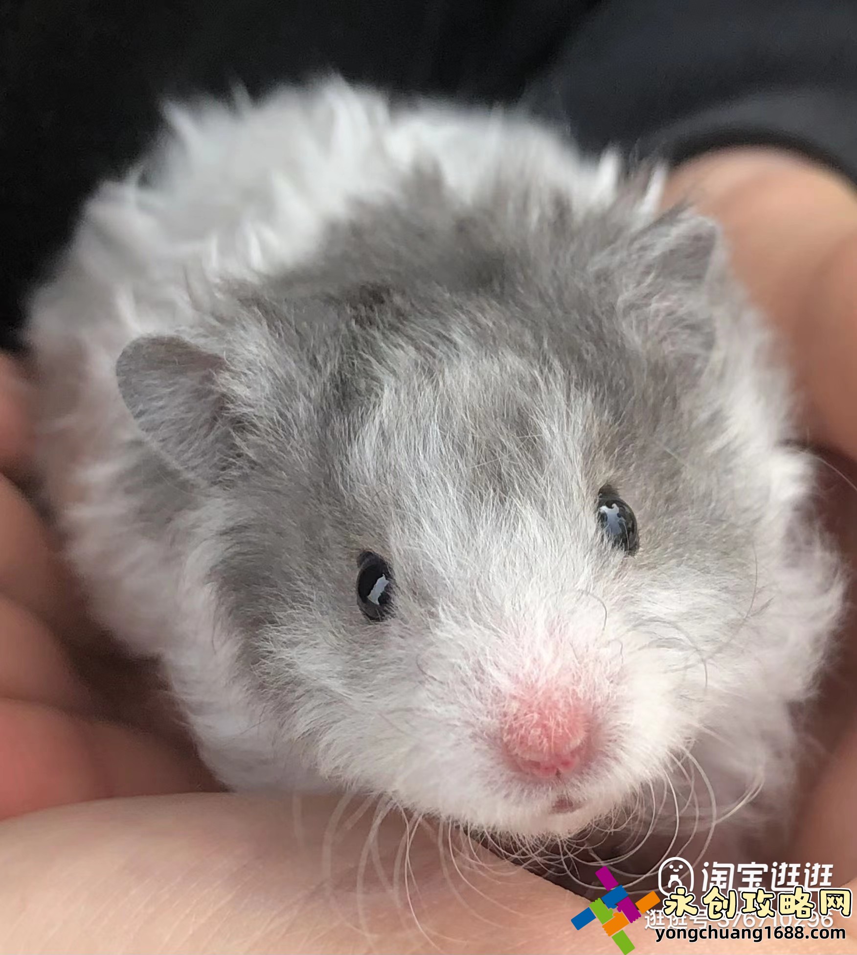 坐公交车最后一排被C？揭秘背后的真相与应对策略