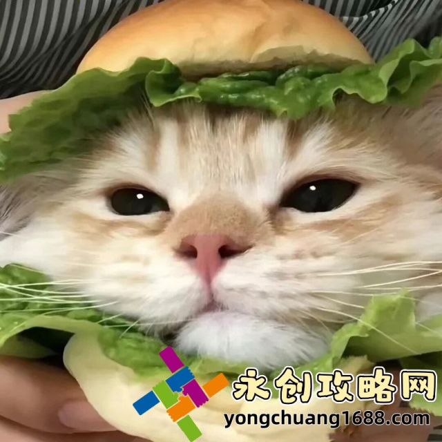 好色先生下载：解锁你的午夜观影新选择！