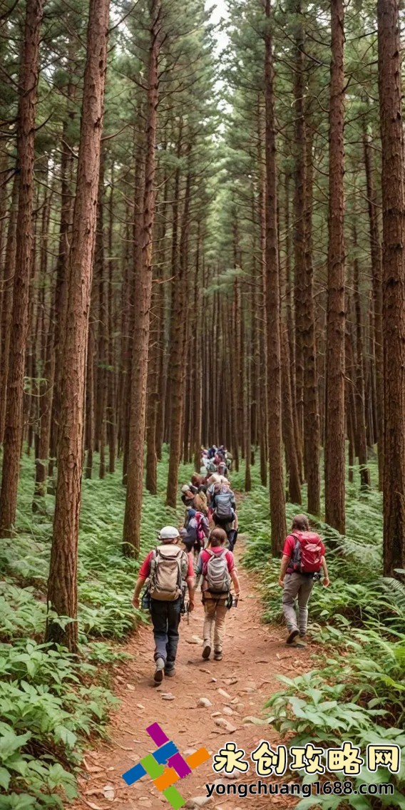 老同学3免费集：重温旧梦的绝佳选择！