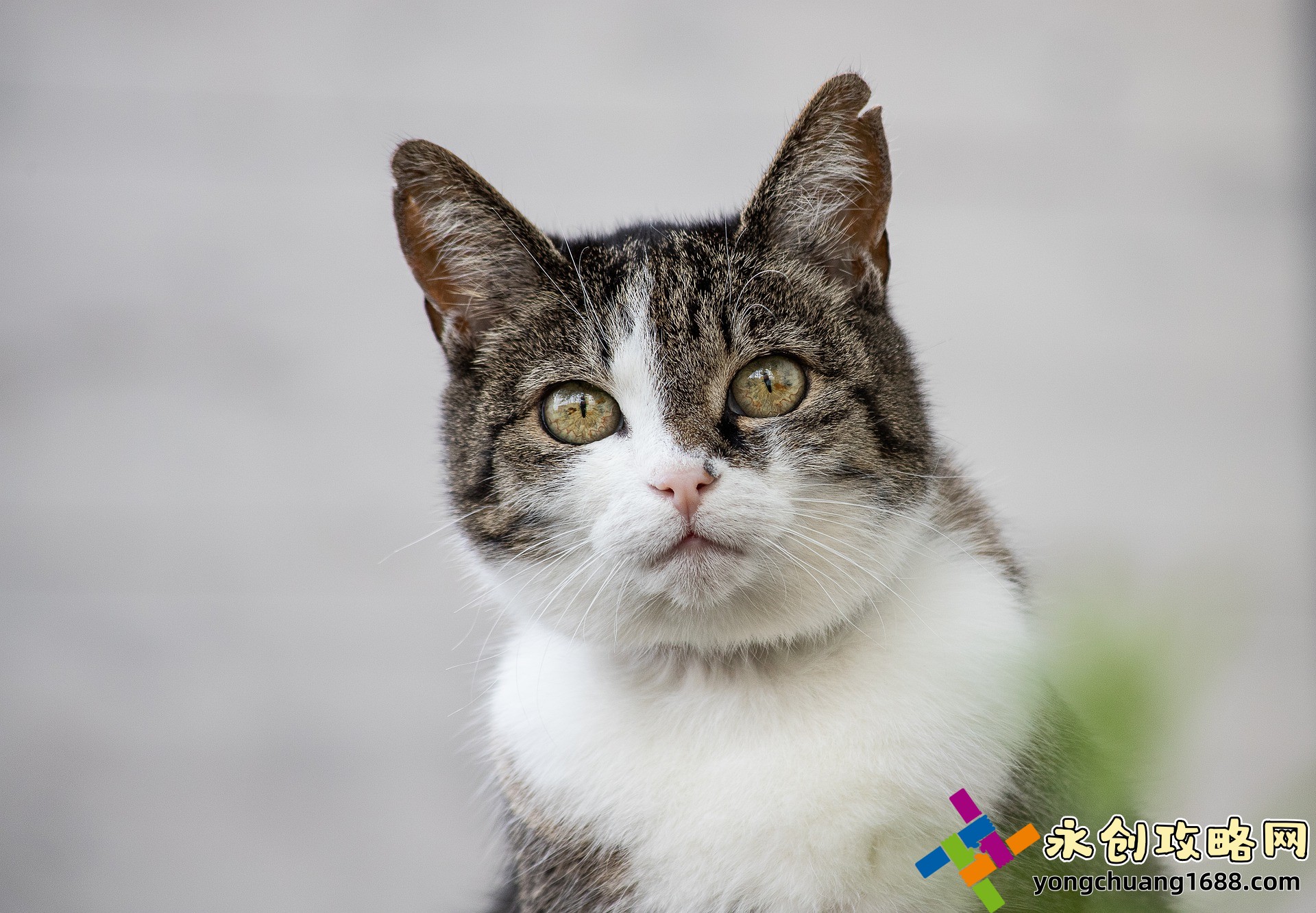 和好兄弟的母亲最经典的一句究竟是怎样的情感表达？