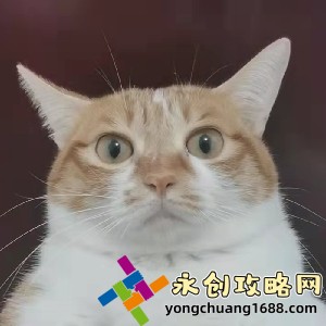 欧美一区二区三区：全球影视市场的区域划分与竞争格局